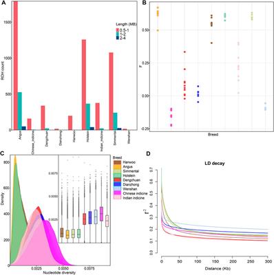 Whole-Genome Sequencing of Endangered Dengchuan Cattle Reveals Its Genomic Diversity and Selection Signatures